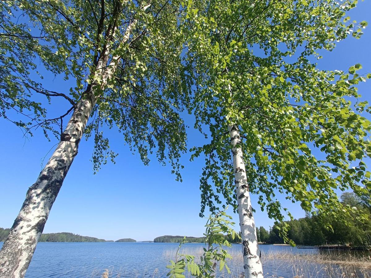 Cronin'S Guesthouse Bed & Breakfast Heinola Esterno foto