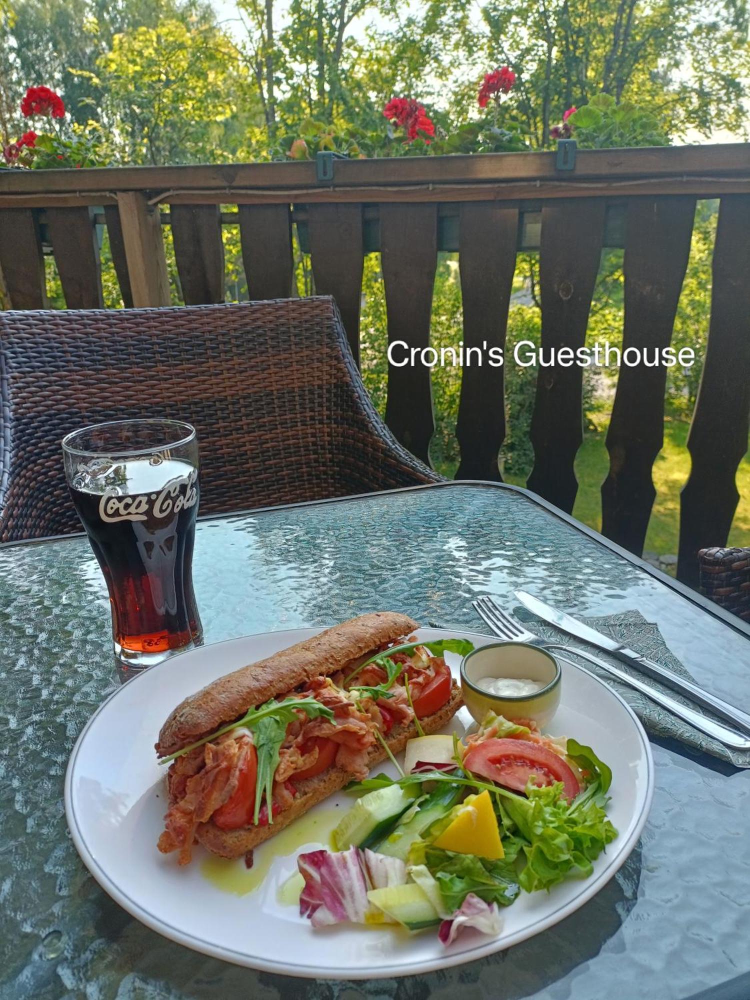 Cronin'S Guesthouse Bed & Breakfast Heinola Esterno foto